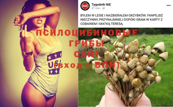 соль курить ск Остров