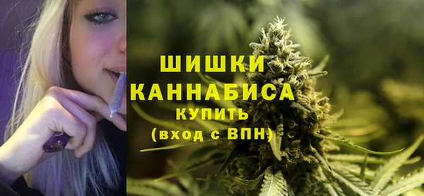 эйфоретик Осташков