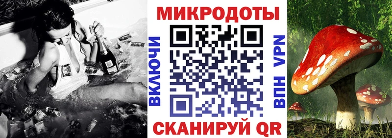 ОМГ ОМГ вход  Аркадак  Галлюциногенные грибы MAGIC MUSHROOMS 